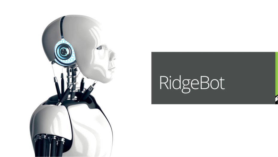 ridge-security